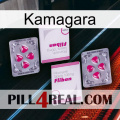 Kamagara 33